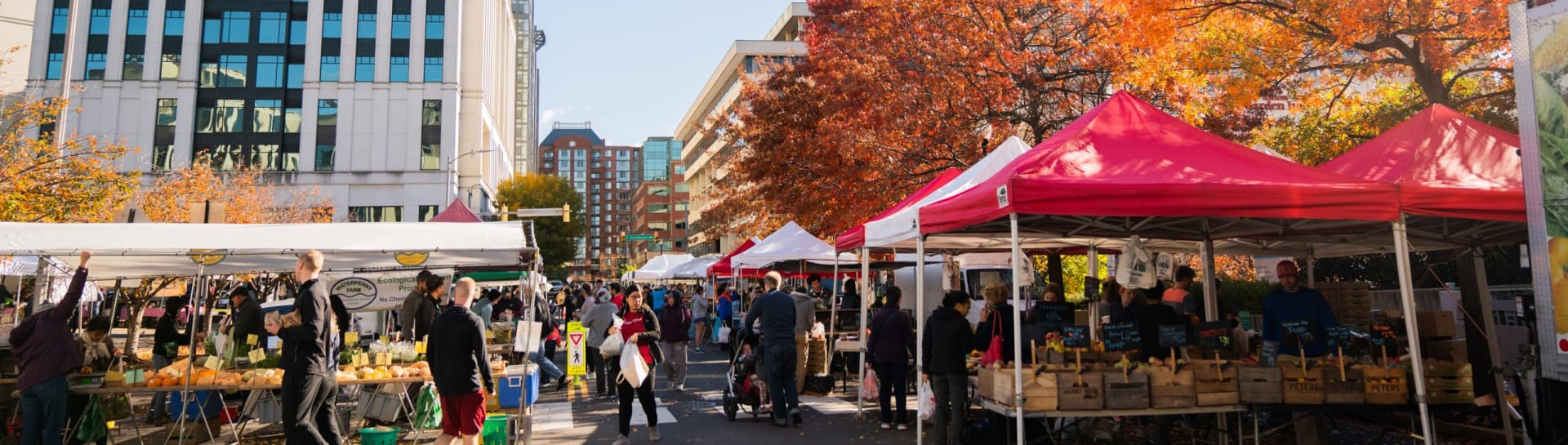 The FRESHFARM Courthouse market with many people and tent-stands.